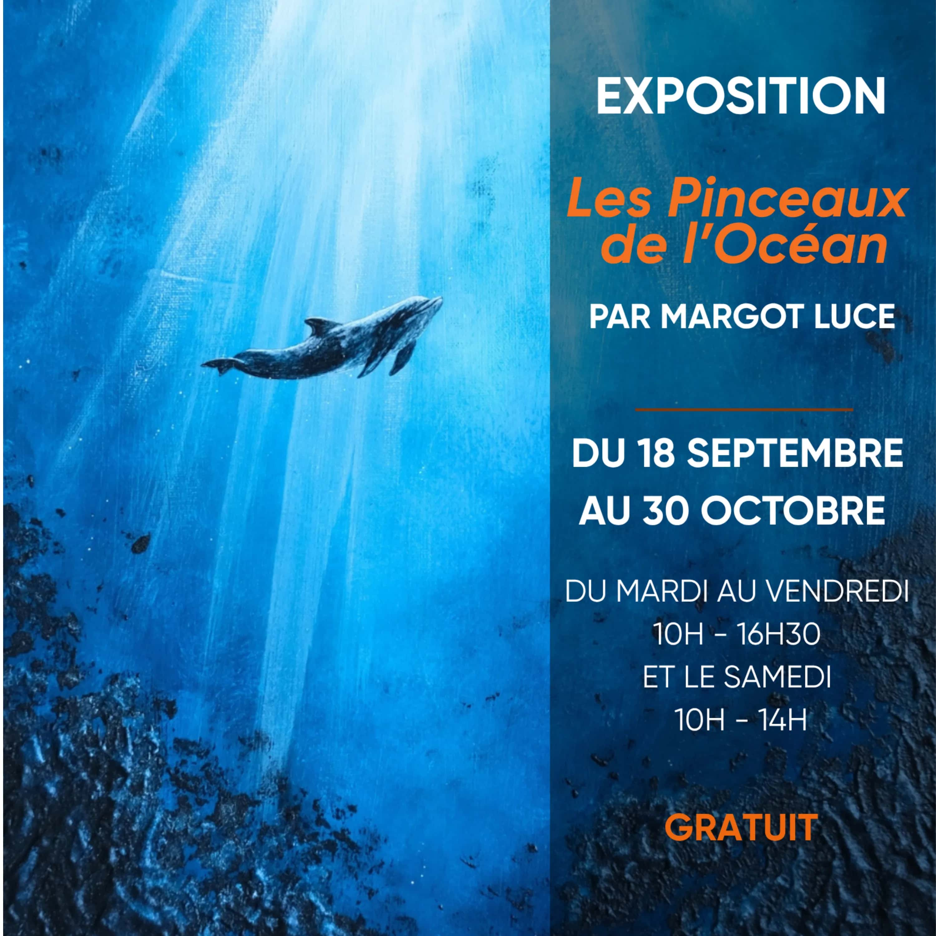 Les pinceaux de l'océan 