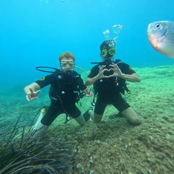 Plongée sous-marine